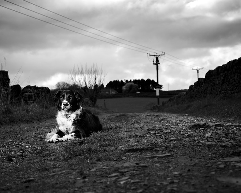 sadie-april-2016-2-2