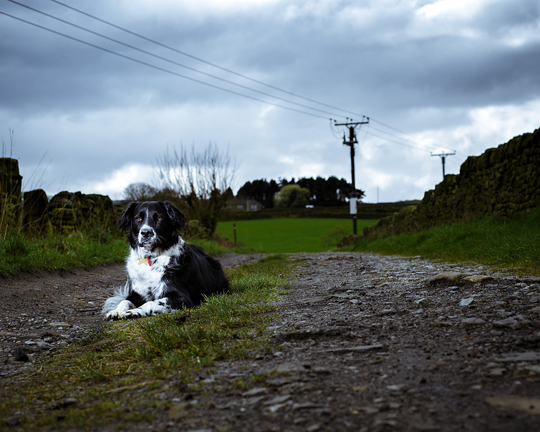 sadie-april-2016-2
