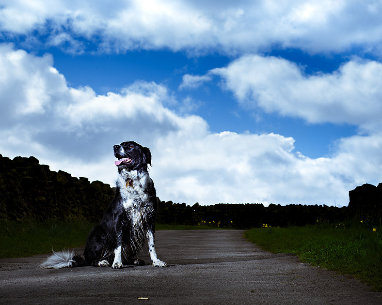 sadie-april-2016-11
