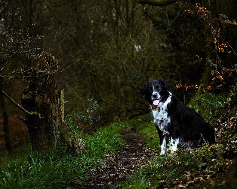 sadie-april-2016-5