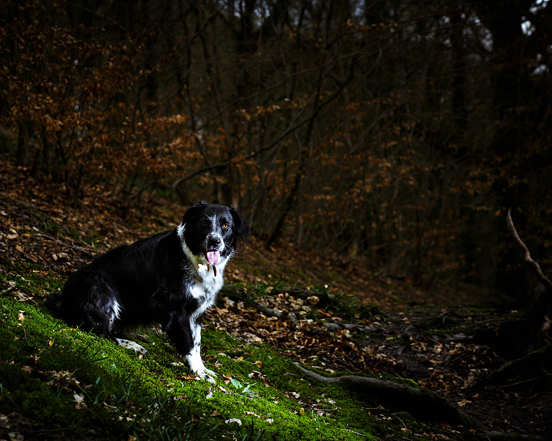 sadie-april-2016-10