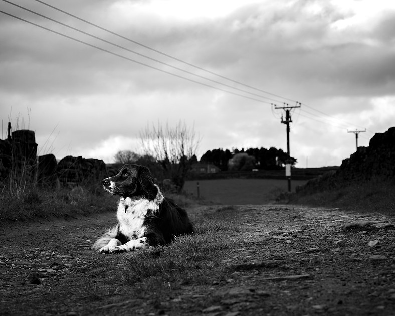 sadie-april-2016-3-2