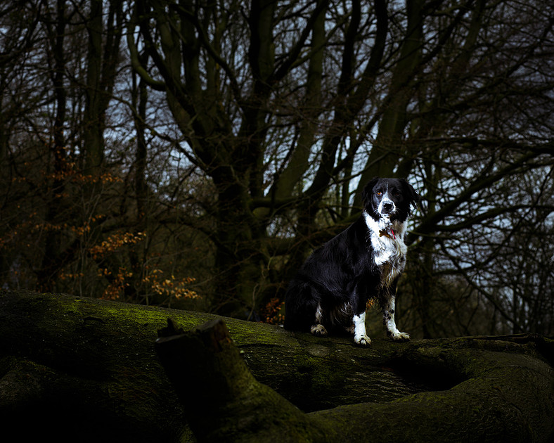 sadie-april-2016-6